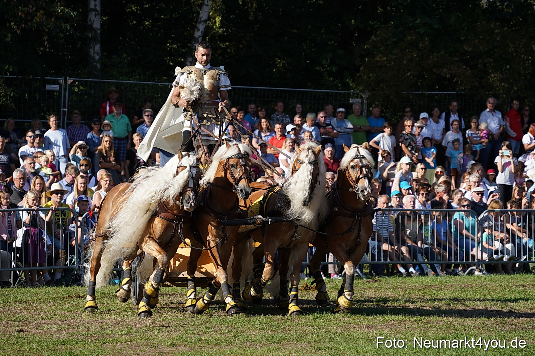 Pferde und Fohlenschau 2022 0024 